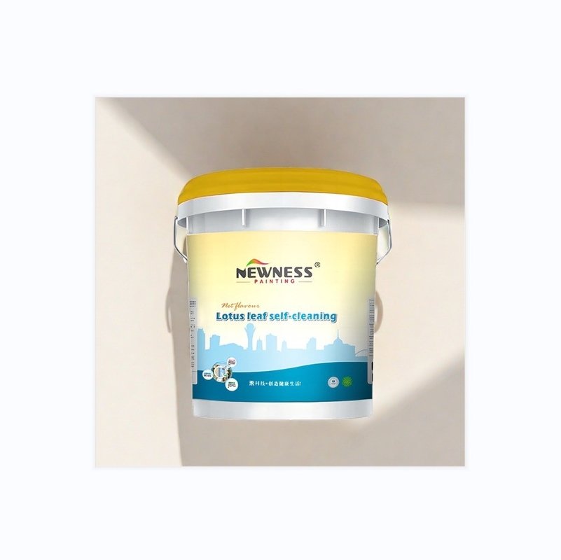 Pure Acrylic Emulsion Paint Your Go-to for Colorful Exterior Wall Decoration and More